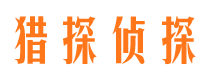 水城侦探公司